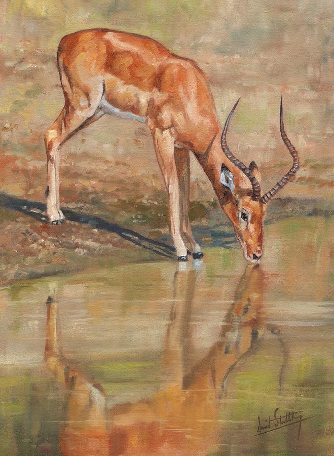 Deer Painting - Impala by David Stribbling