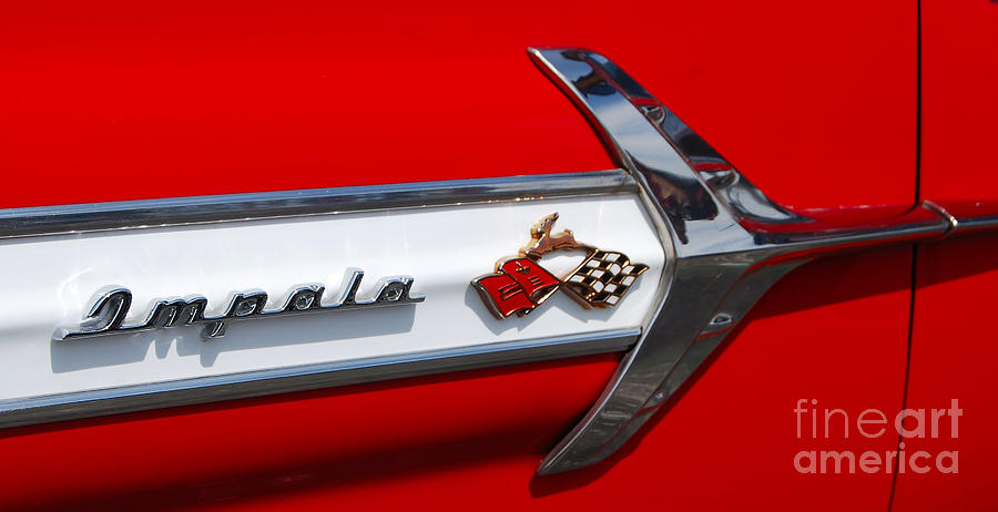 Impala Photograph