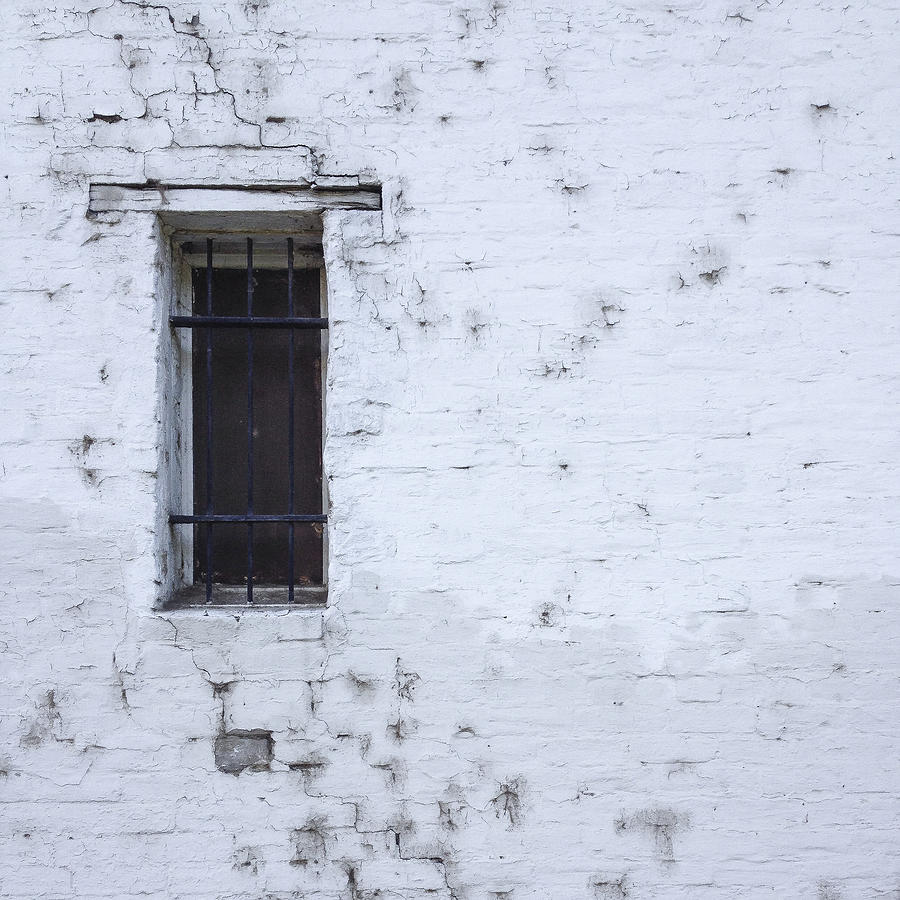 Imperfectly White Photograph by Lee Harland