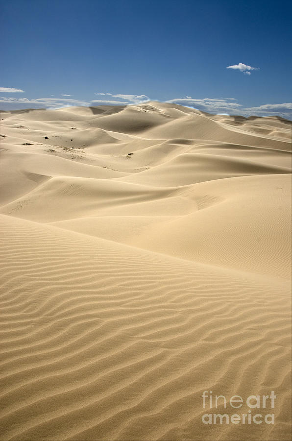 Imperial Dunes Photograph by Mark Newman