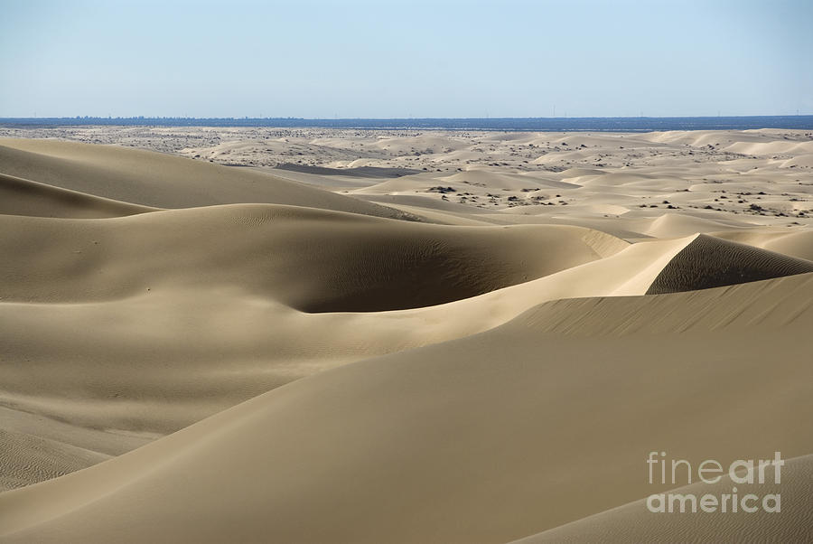 Imperial Sand Dunes Photograph by Mark Newman