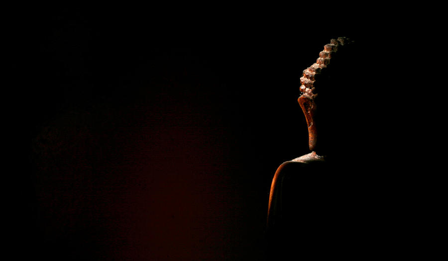 Buddha Photograph - Impermanence by Ramon Fernandez