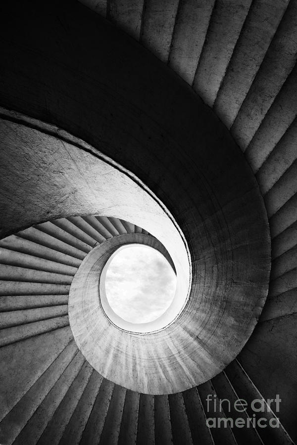 Spirals in black and white Photograph by Jaroslaw Blaminsky
