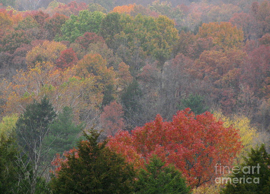 Fall Photograph - Impression of a hillside by Fred Sheridan