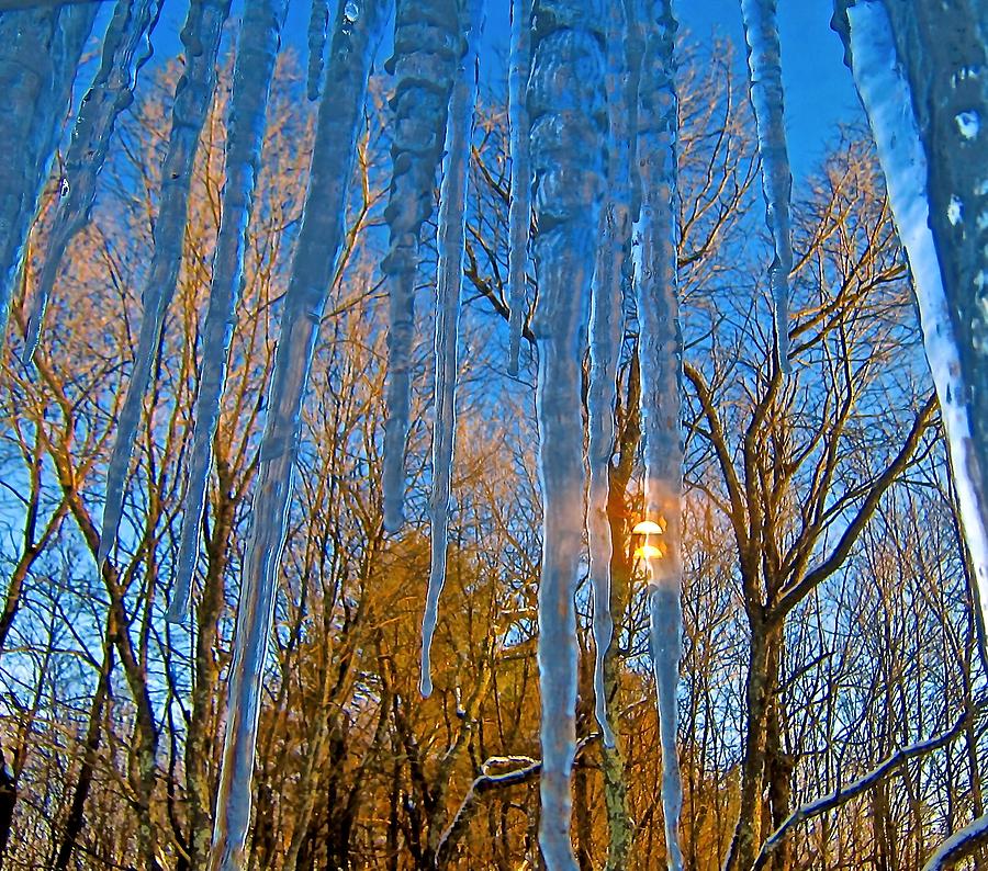 Impression of Icicles Photograph by Elizabeth Tillar