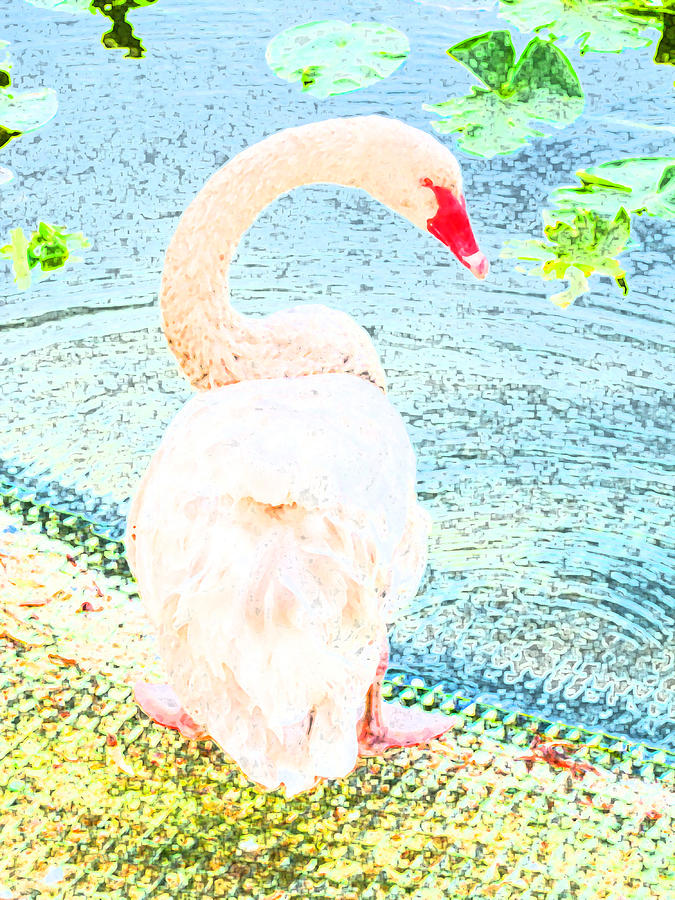 Impression of the White Swan Photograph by Lenore Senior
