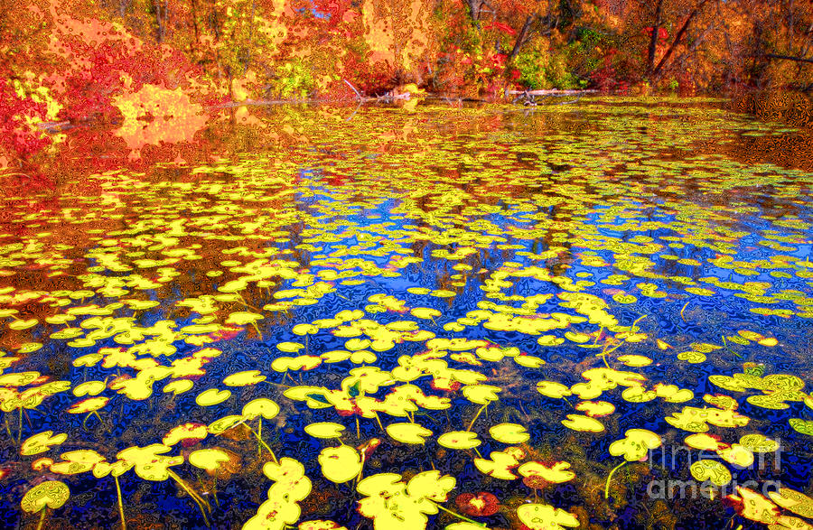 Impression of Waterlily Pond Photograph by Charline Xia