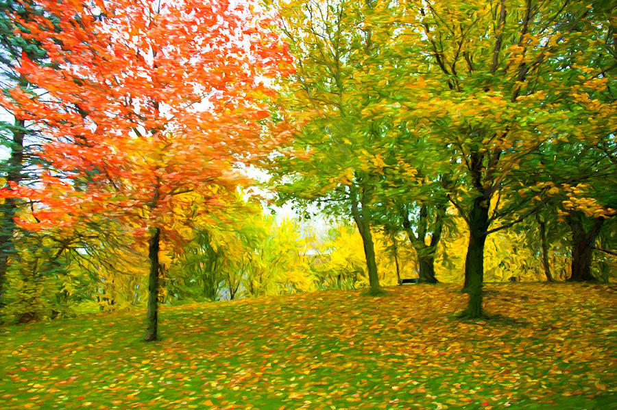 Impressionist Autumn Trees Photograph by Bill Howard