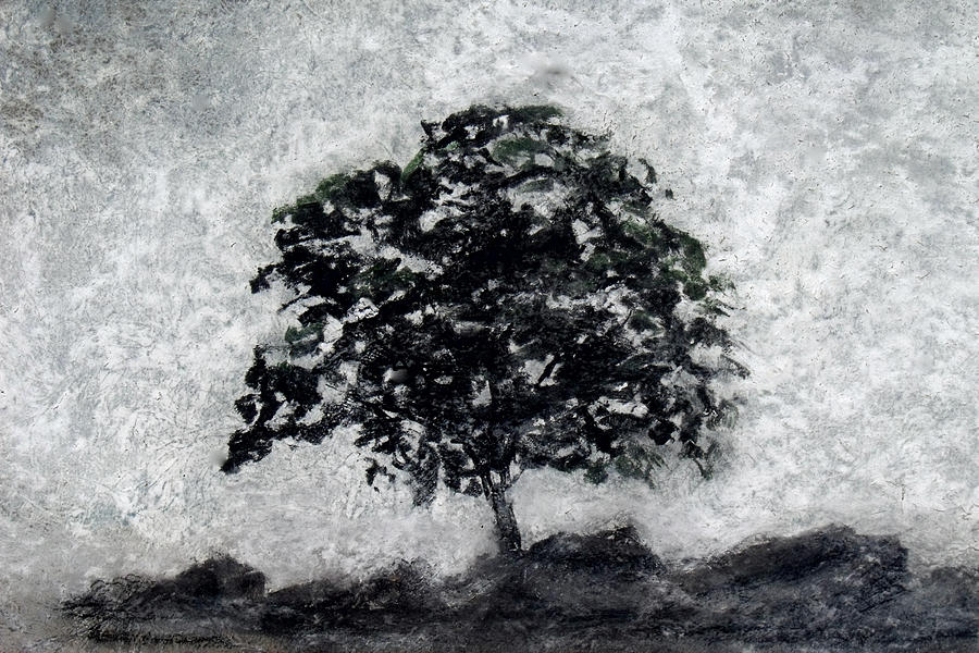 Impressionist Gray Tree Painting by David Clode