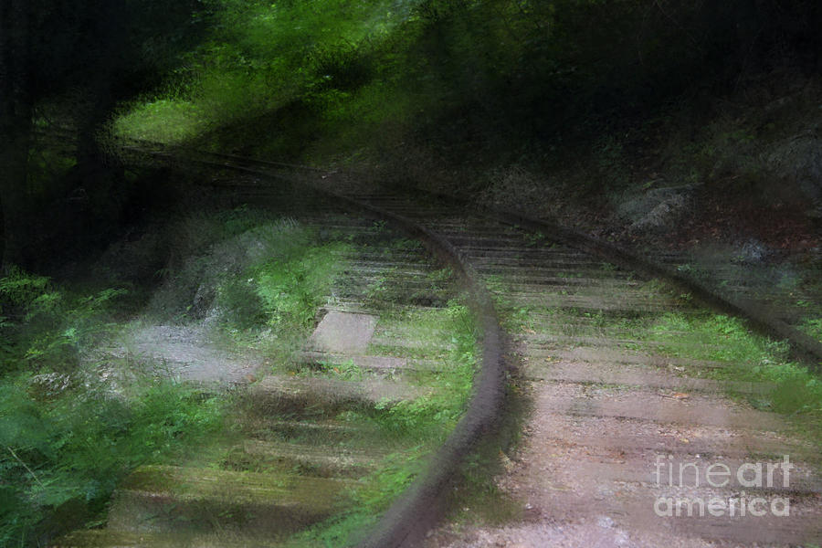 Impressionist Rail Tracks Photograph by Doc Braham