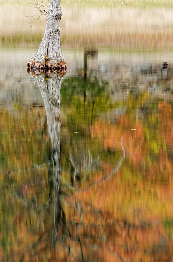 Impressionist Reflection Of Fall Colors Photograph