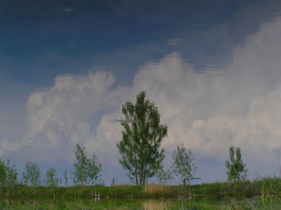 Impressionist reflections Photograph by George Tuffy