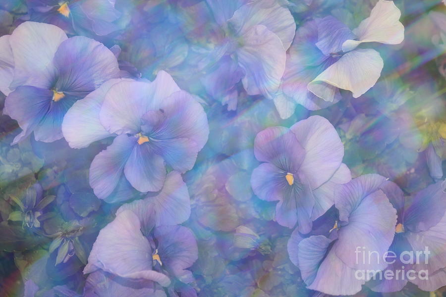 Impressionistic Blue Hydrangeas Photograph by Dora Sofia Caputo