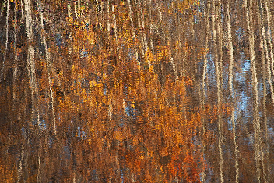 Impressionistic Fall Photograph by Doug Davidson