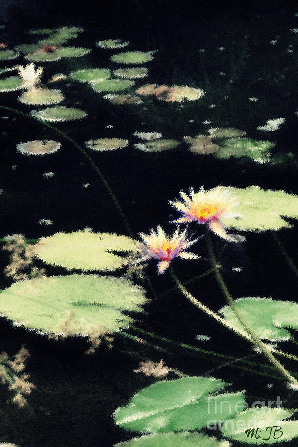 Impressionistic Lilly Pond Photograph by Mindy Bench
