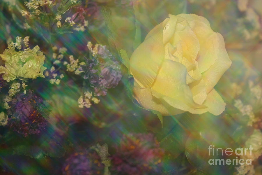 Impressionistic Yellow Rose Photograph by Dora Sofia Caputo
