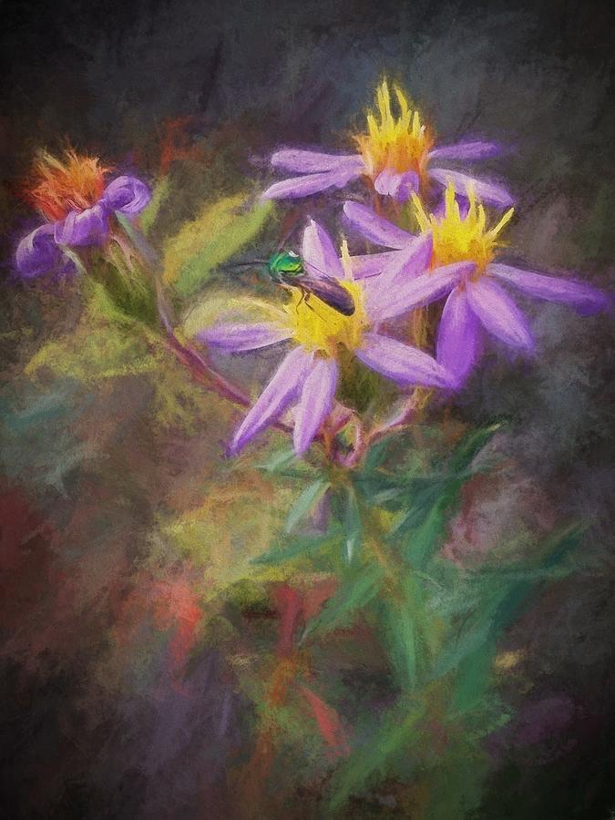 Kentucky Photograph - Impressions of an Aster by Diana Boyd Kentucky Photograph - Impressions of an Aster by Diana Boyd
