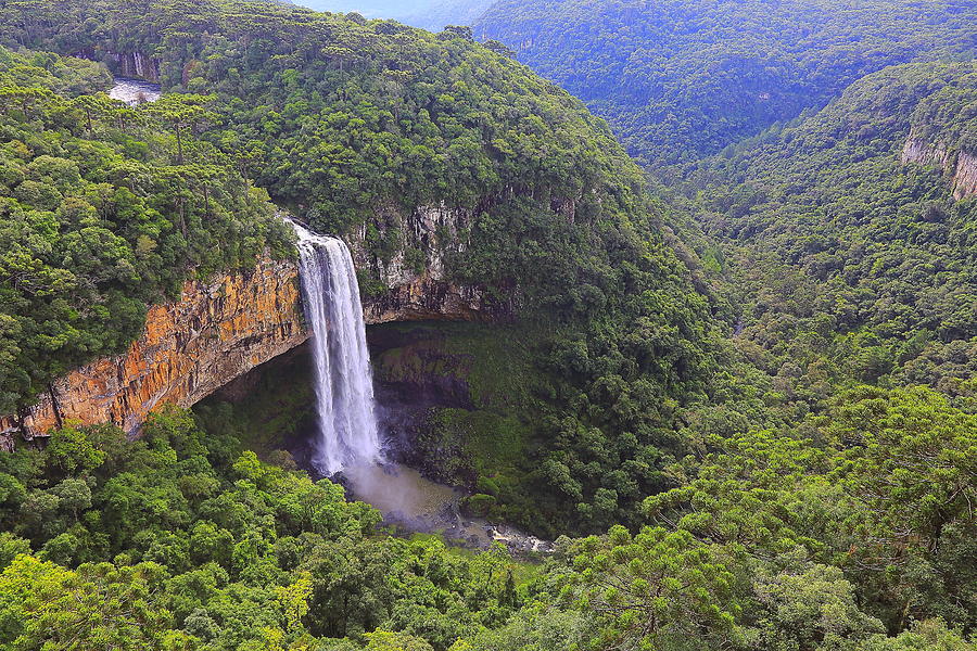 Impressive Caracol falls, Canela, Rio Grande do Sul, Brazil Photograph by Agustavop