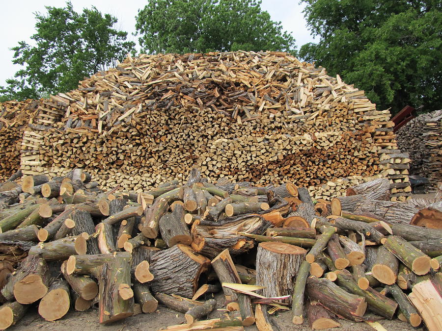 impressive-giant-wood-pile-donna-wilson.jpg