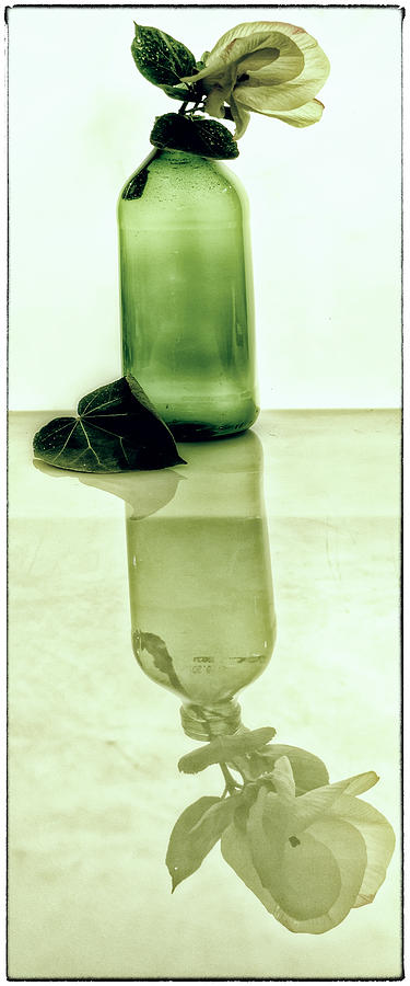 In a dark glass bottle Photograph by Andrei SKY