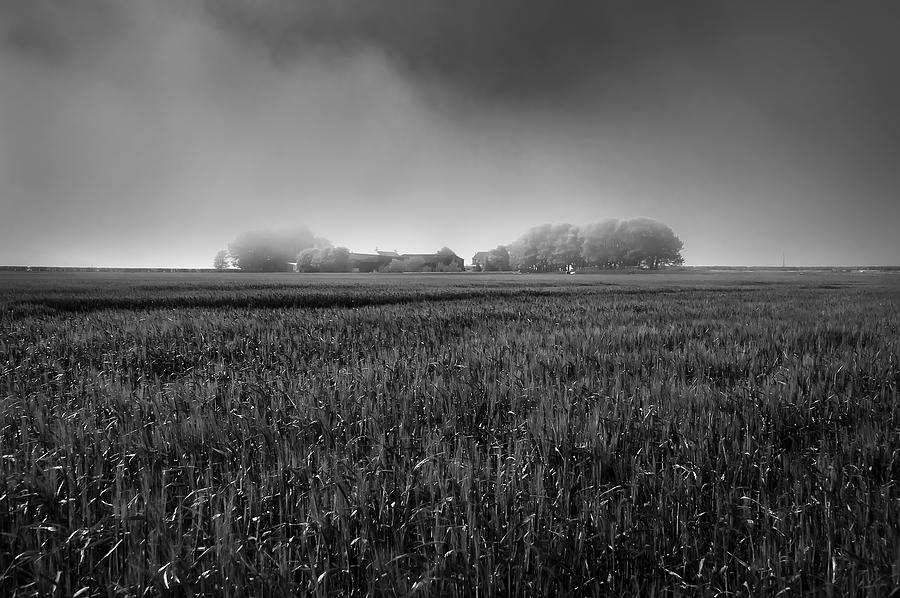 In a Fog Photograph by Svetlana Sewell