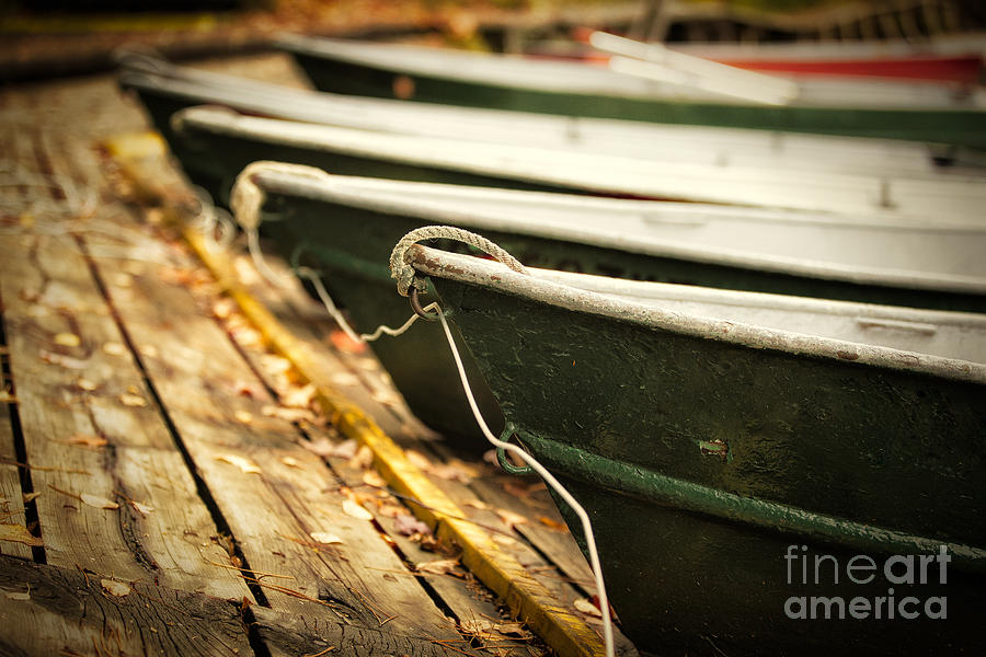 Boat Photograph - In a line by Todd Bielby