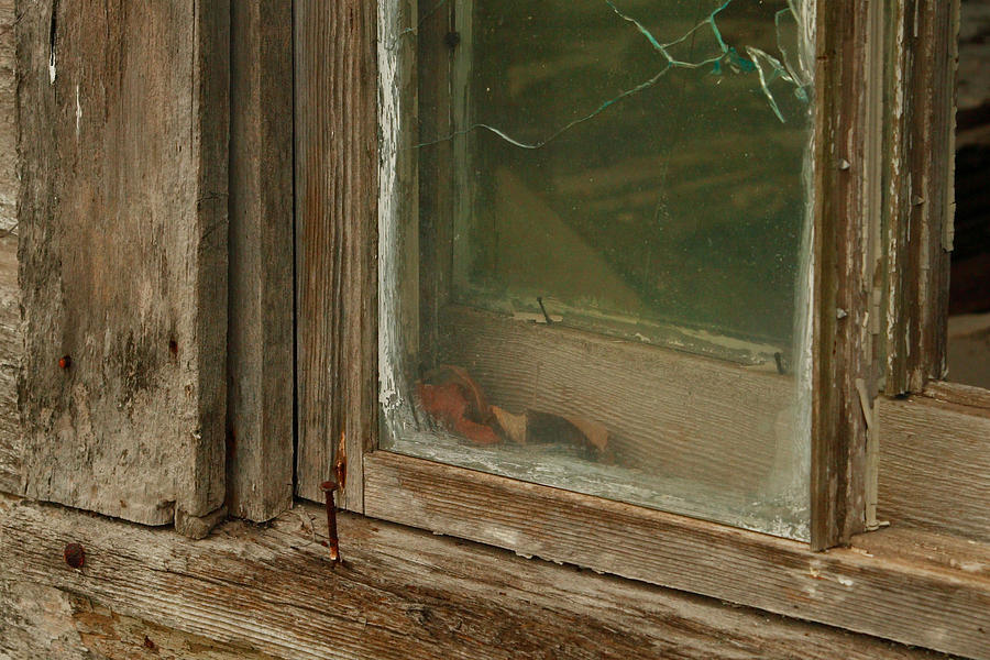 In a Window Pane Digital Art by Linda Unger