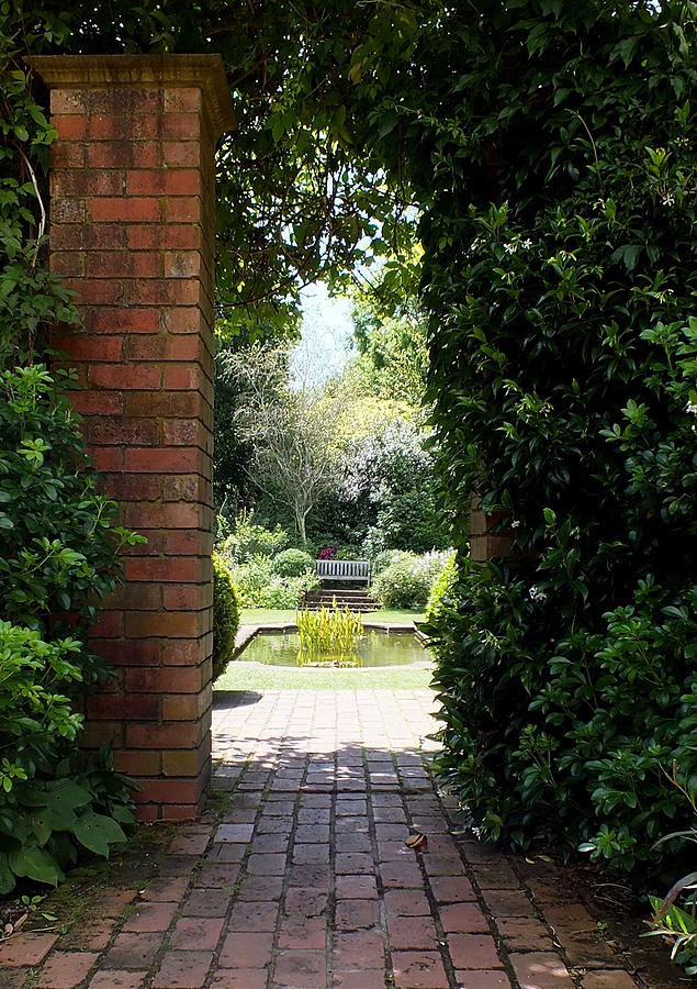 In An English Country Garden Photograph by Guy Pettingell