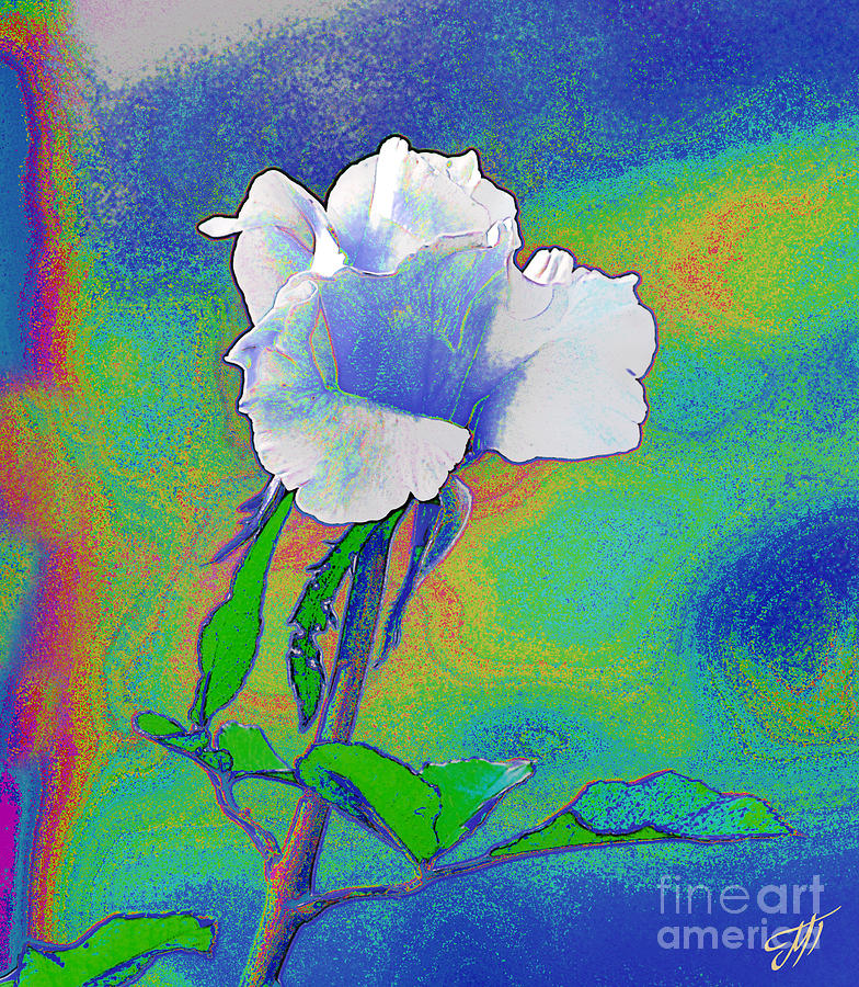 Rose Photograph - In Blue by Art by Magdalene