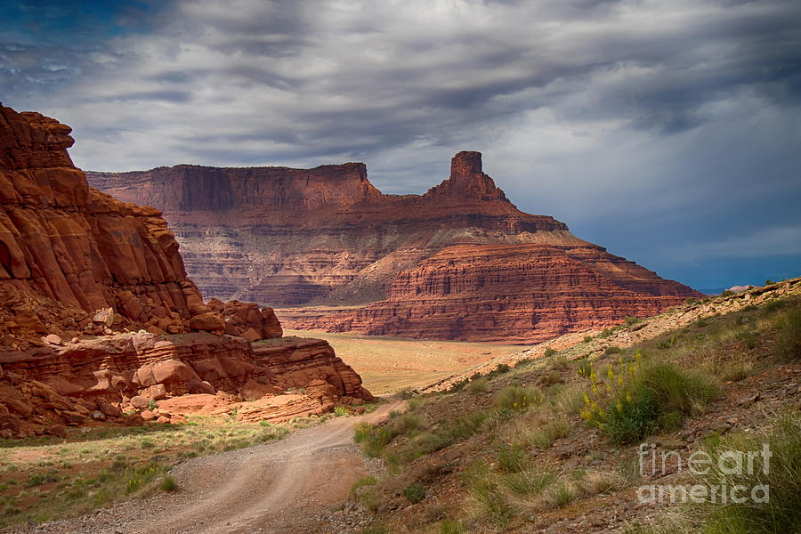In Canyonlands NP Photograph by Juergen Klust