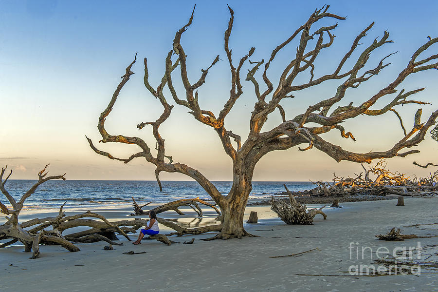 In Deep Thought On Jekyll Island  Photograph by Willie Harper