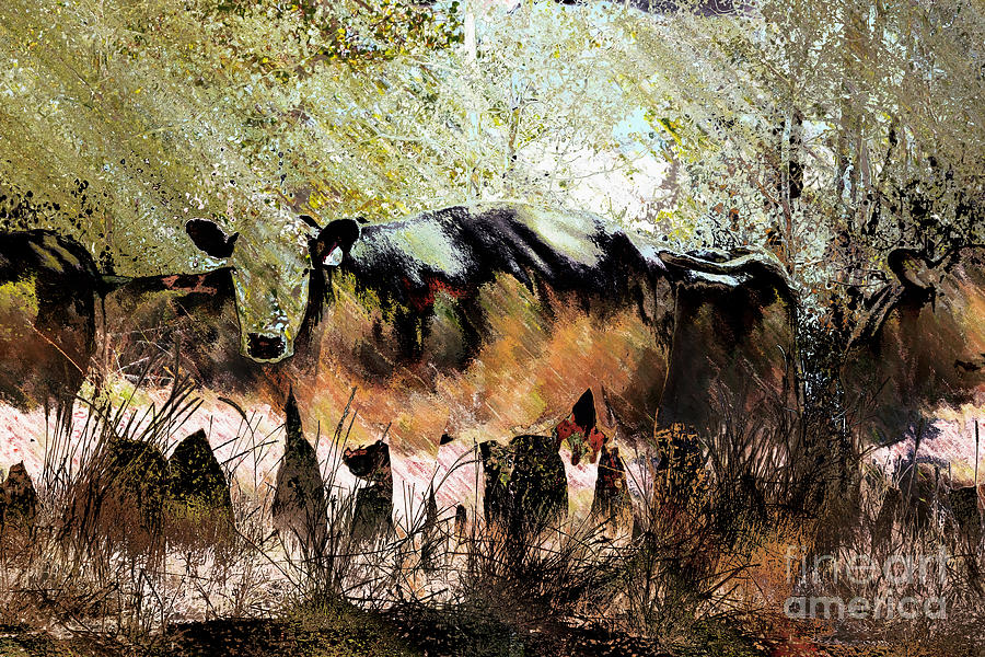 Cow Photograph - In Disguise by Barbara D Richards