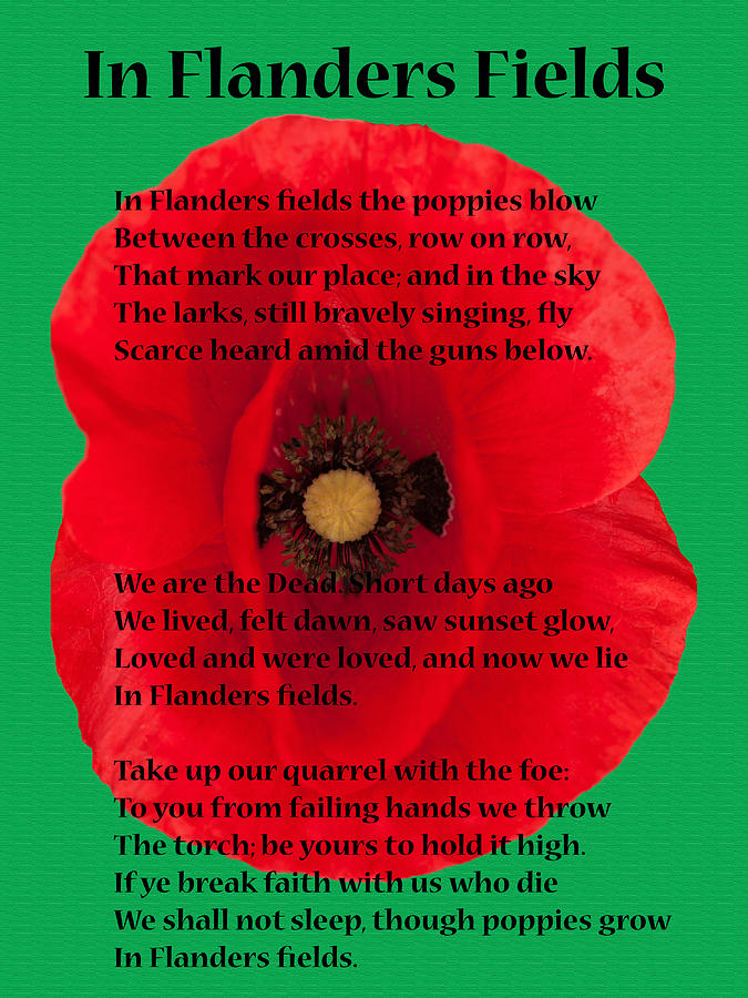 In Flanders Fields Digital Art by Roy Pedersen