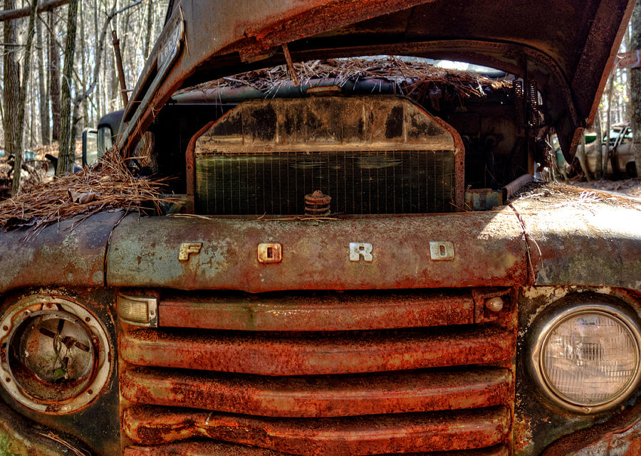 Truck Photograph - In Front of an Old Rusty Ford Truck by Greg and Chrystal Mimbs