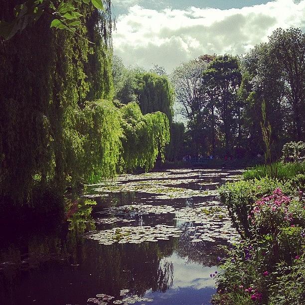 Claude Monet Photograph - In Giverny by Danielle McComb