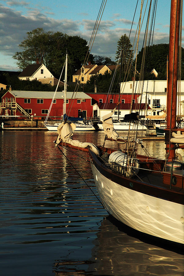 Boat Photograph - In Harbor by Karol Livote
