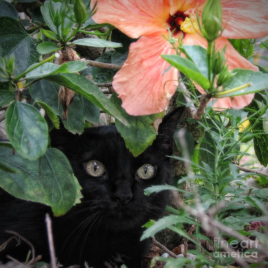 In His Jungle Photograph by Peggy Hughes