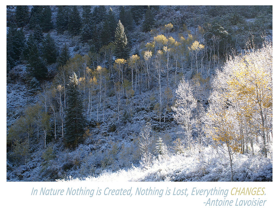 Inspirational Words Painting - In Nature Everything Changes by Shawn Shea