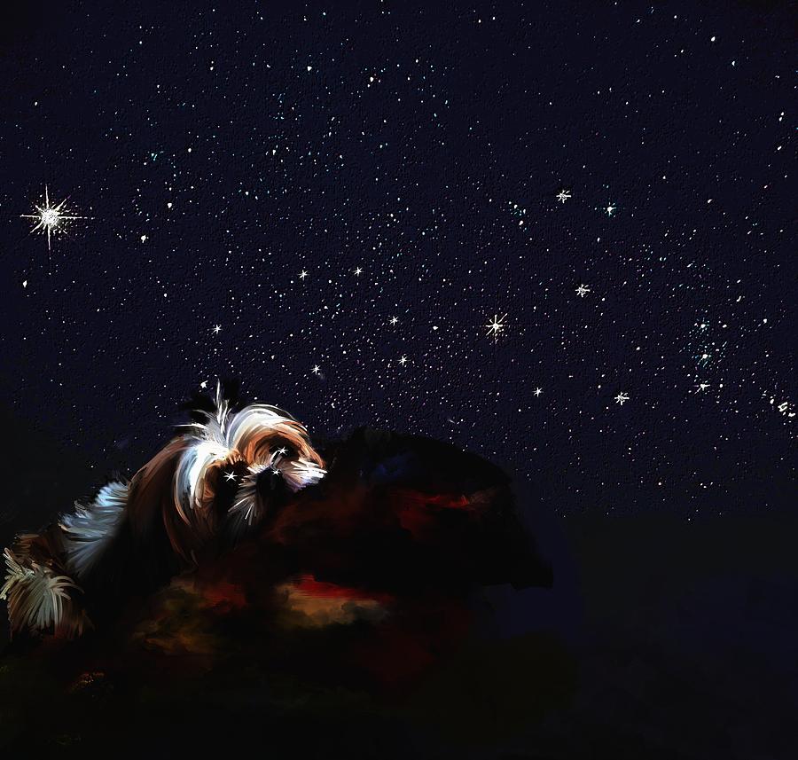 Dog Digital Art - In one of those stars by Richard Okun