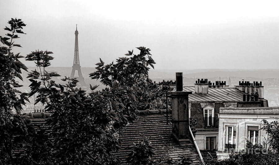 Paris Photograph - In Paris by Olivier Le Queinec