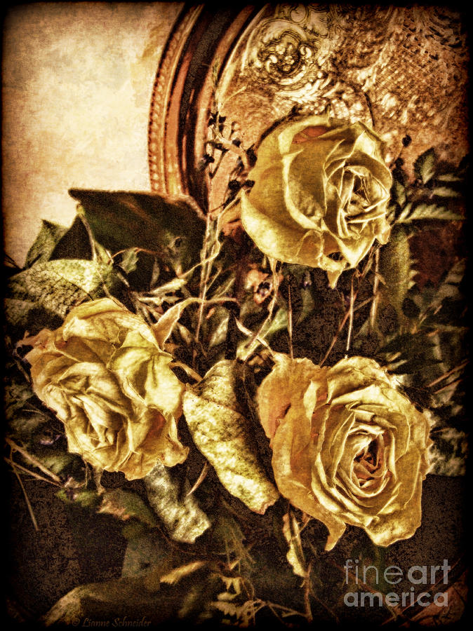 Rose Photograph - In Remembrance of Things Past by Lianne Schneider