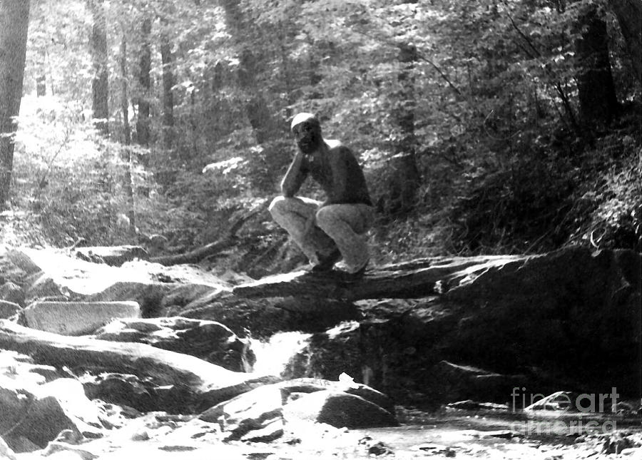 Nature Photograph - In Rock Creek Park 1973 by Walter Neal