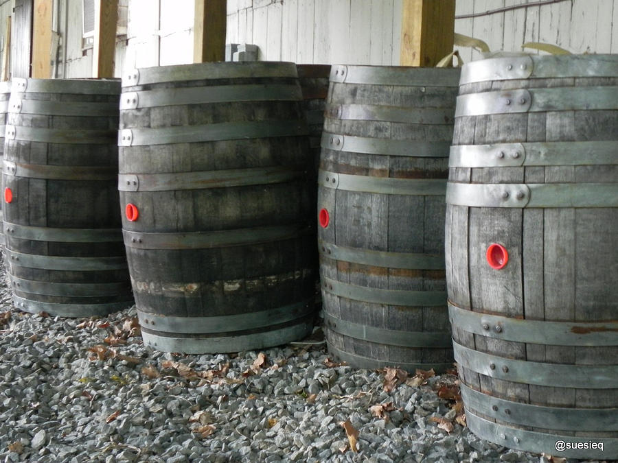 Wine Photograph - In the Barrels by Sue Rosen