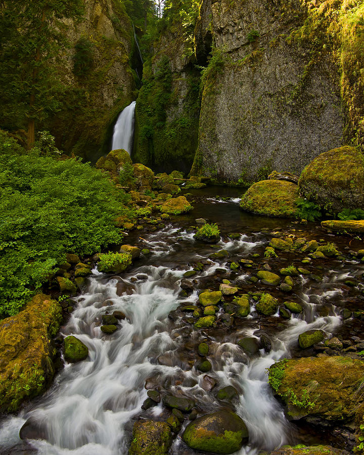 In the Columbia River gorge. Photograph by Ulrich Burkhalter