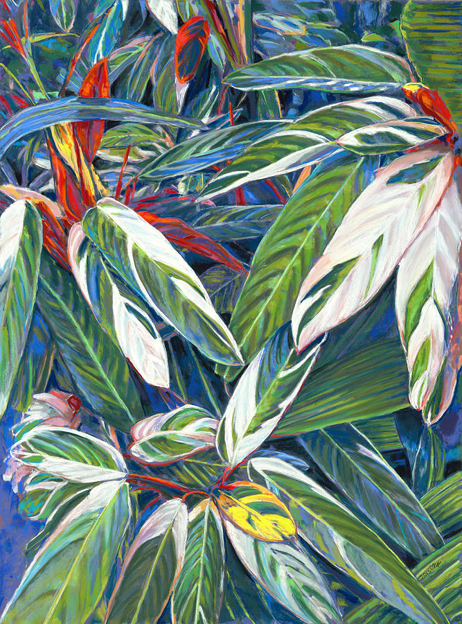 Stromanthe sanguinea Painting by Nick Payne