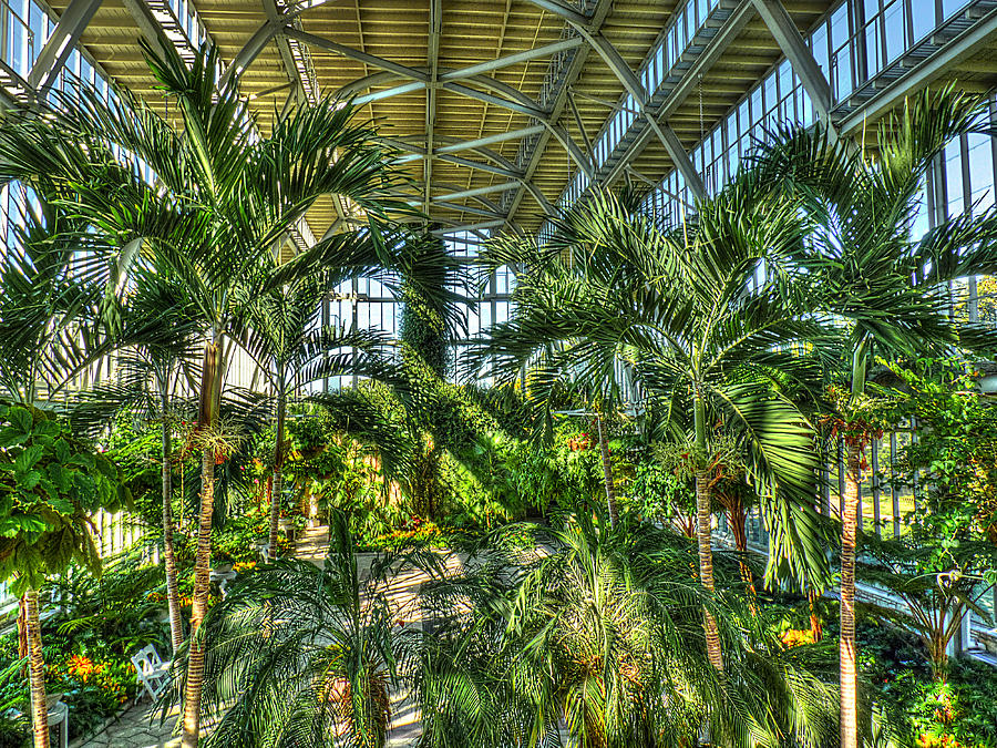 In the Conservatory Photograph by William Fields