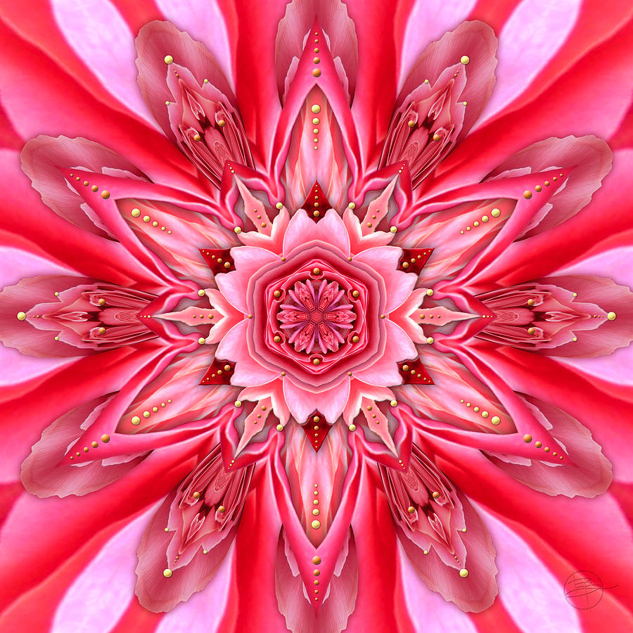 Pattern Photograph - In the Court of the Crimson Queen by Karen Hochman Brown Pattern Photograph - In the Court of the Crimson Queen by Karen Hochman Brown