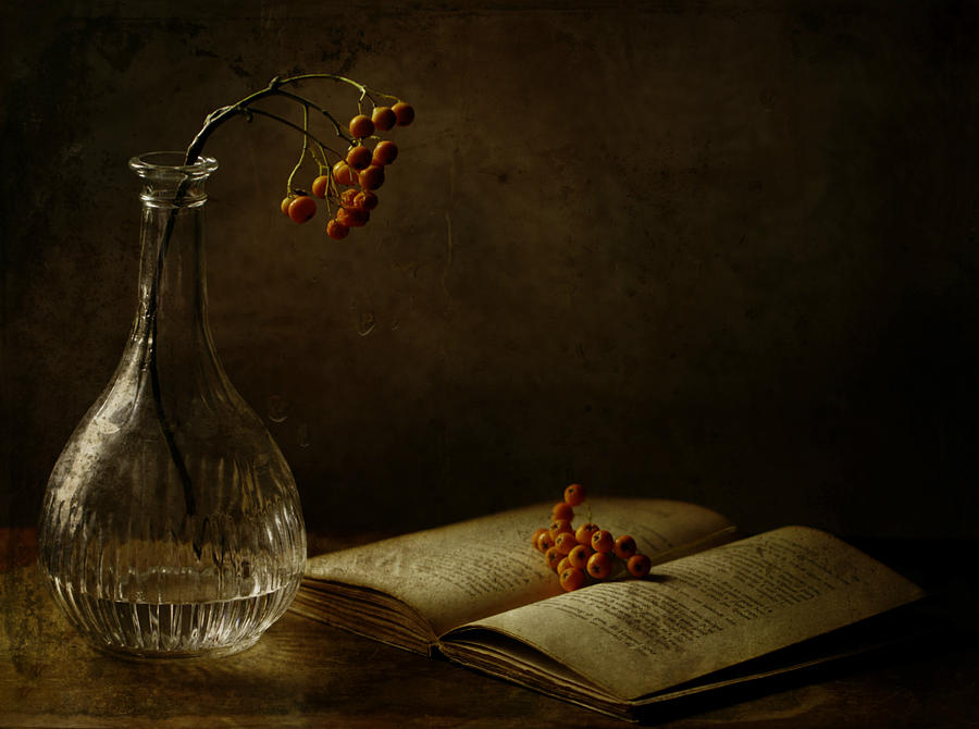 Still Life Photograph - In The Dark Of My Days by Delphine Devos