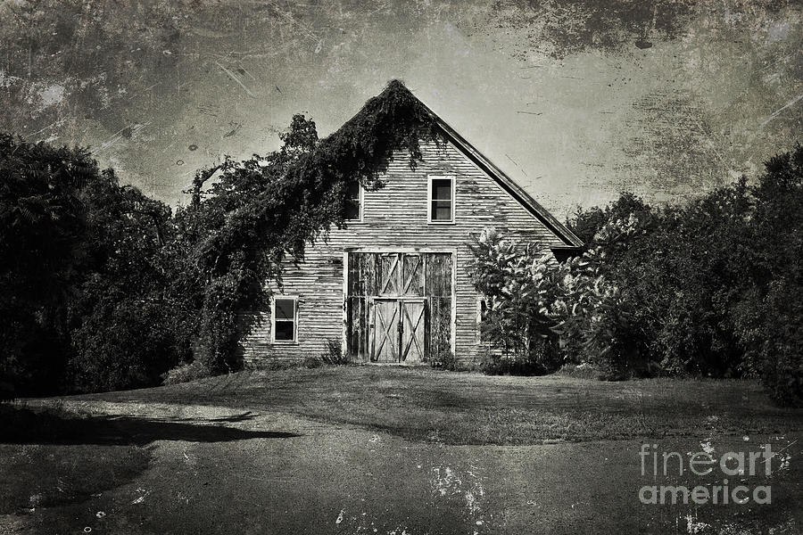 Barn Photograph - In the Days by K Hines
