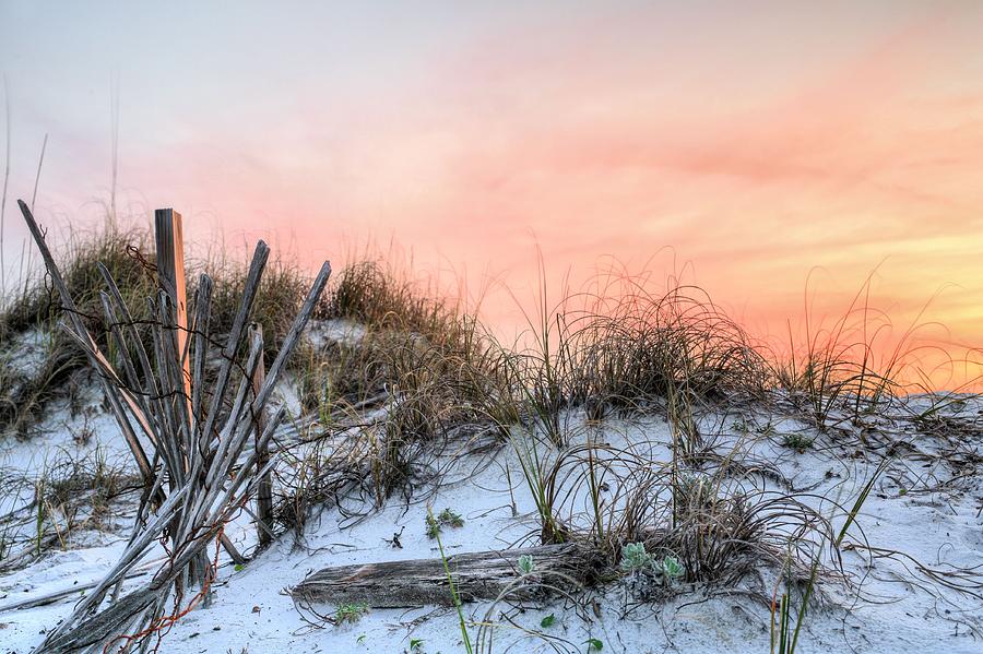 Sunset Photograph - In the Dunes of Pensacola Beach by JC Findley